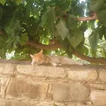 Elpida's Stone Country house *