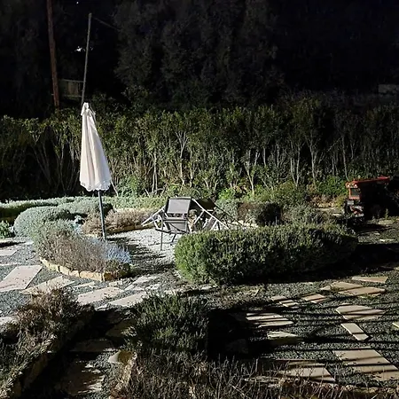 Elpida's Stone Goudhi